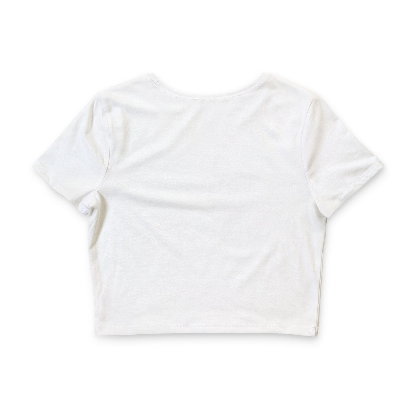 Disney Monorail to the Castle Crop Tee — "Please stand clear of the doors" Women's Retro Theme Park Shirt