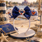Disney Cruise Inspired Ears