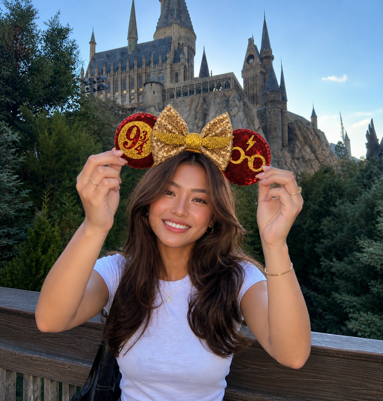 Harry Potter Wizard Inspired Ears