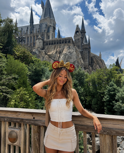 Harry Potter Wizard Inspired Ears